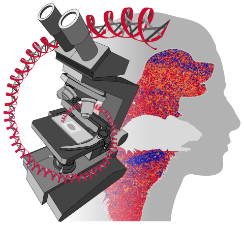 logo for Comparative Pathology and Digital Imaging Shared Resource