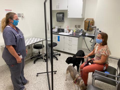 vmc exam room with doctor and client during covid 19 pandemic