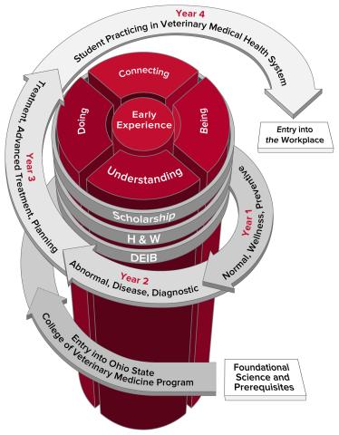 Visual of spiral curriculum