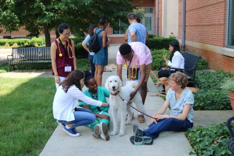 group of high school students examine a white poodle