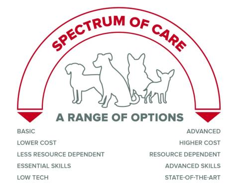 Specturm of Face - A Range of Options