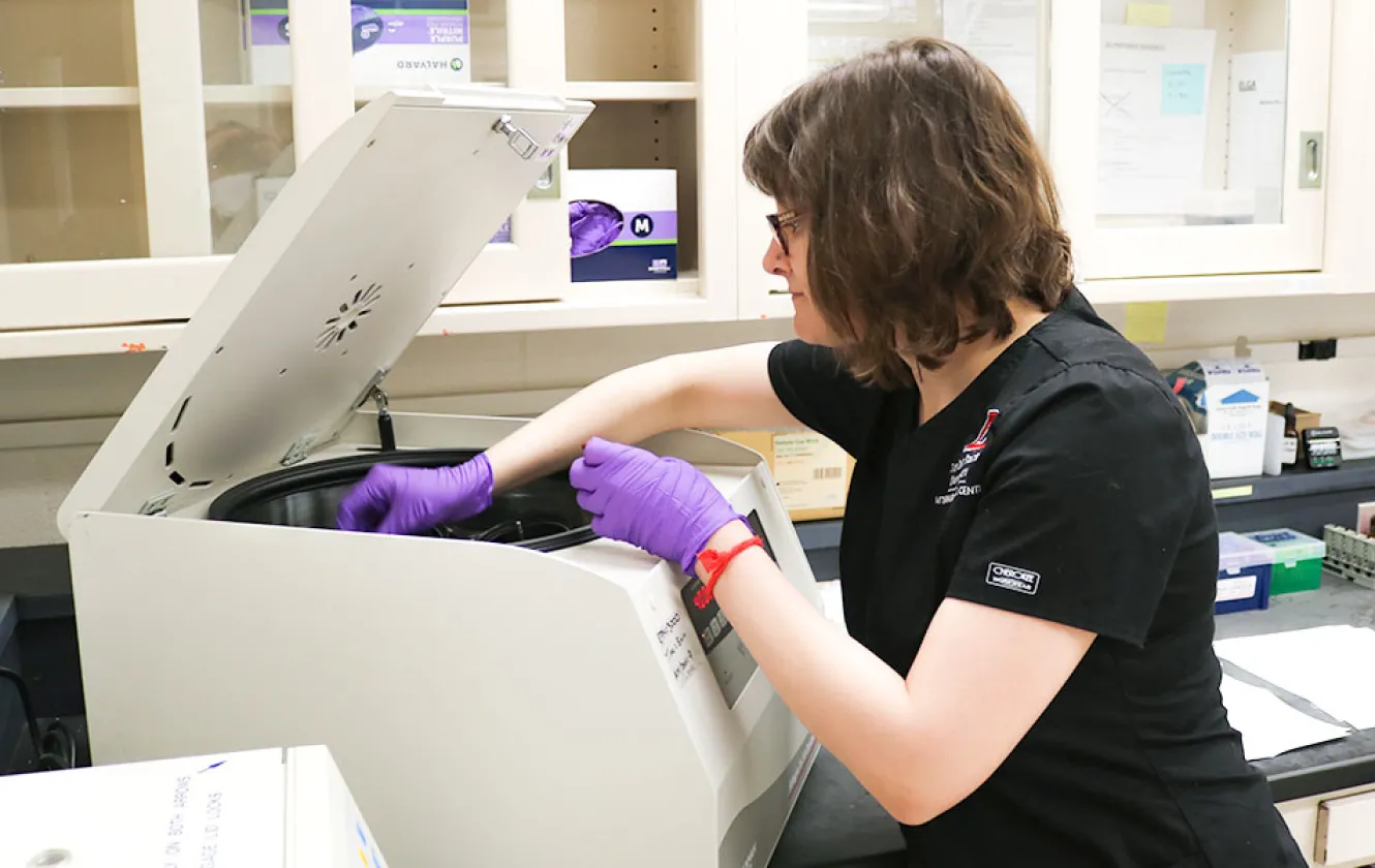 A researcher puts samples into a centrifuge
