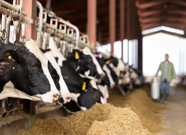 A virus of interest this year: H5N1 bird flu, which has been causing outbreaks in poultry and U.S. dairy cows.