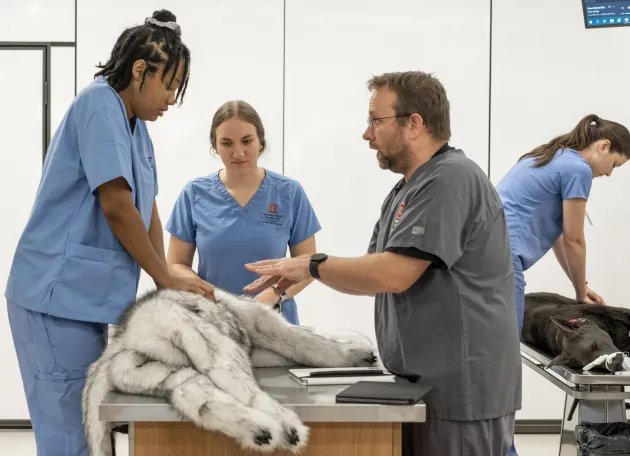 student in clinical skills lab