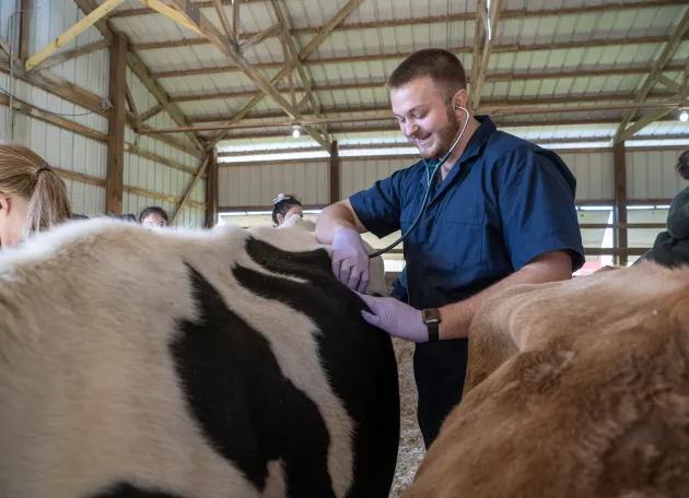 Enhanced mentorship and student support, expanded handson training, rural community immersion opportunities and targeted scholarship support for rural students are just some of the strategies that support goal area one of the Protect OHIO initiative.