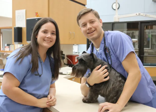 two vet students at a summer stanton externship